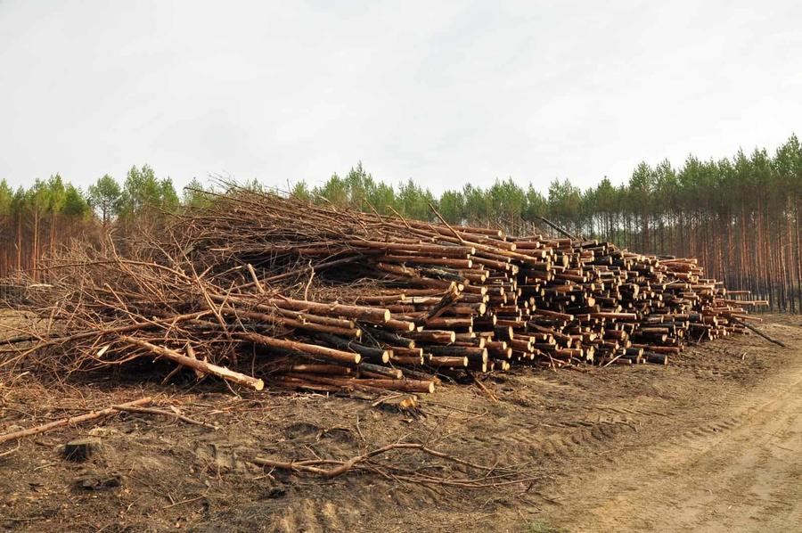  (European Wilderness Society)