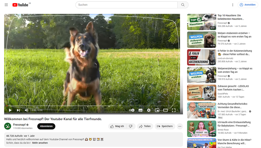Wuff. Fressnapf ist der erfolgreichste Tierbedarf-Shop auf Youtube (Youtube)
