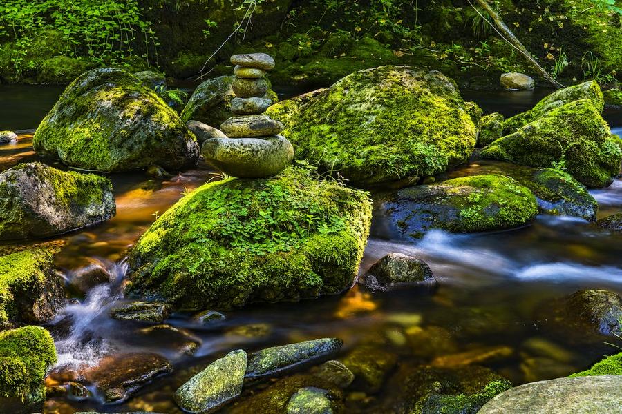 Wo die Quelle der Customer Journey liegt (Bild: Felix Mittermeier/Pexels)