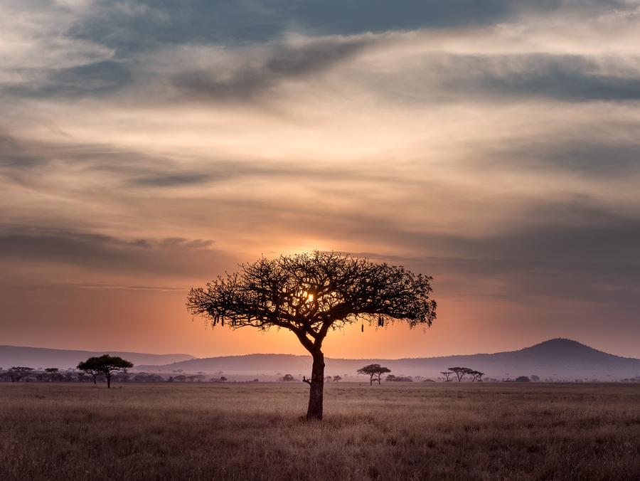  (Photo by Hu Chen on Unsplash)