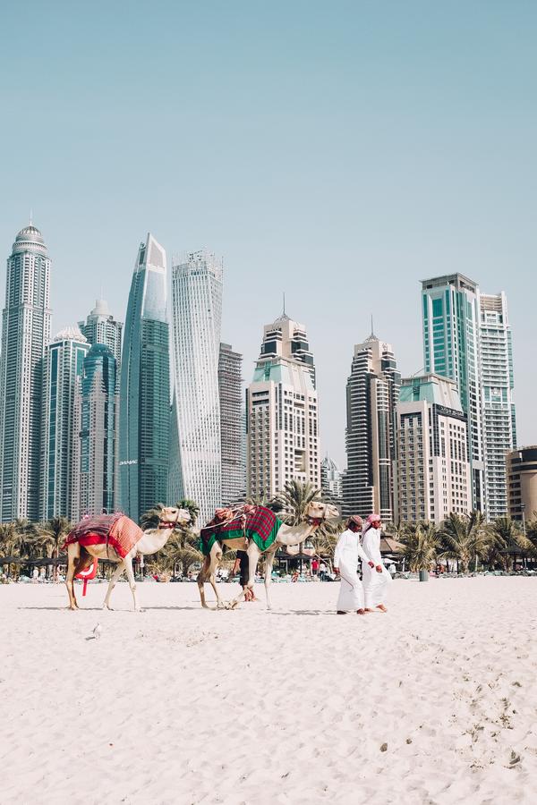  (Photo by Fredrik Öhlander on Unsplash)