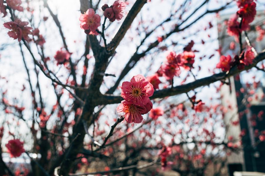  (Photo by Markus Winkler on Unsplash)