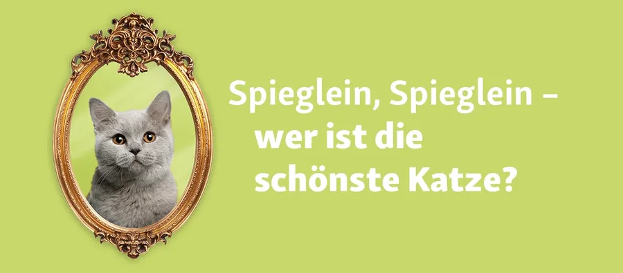 Mit "Miau" zu Kundenaktivierung und Leadgenerierung (Fressnapf)