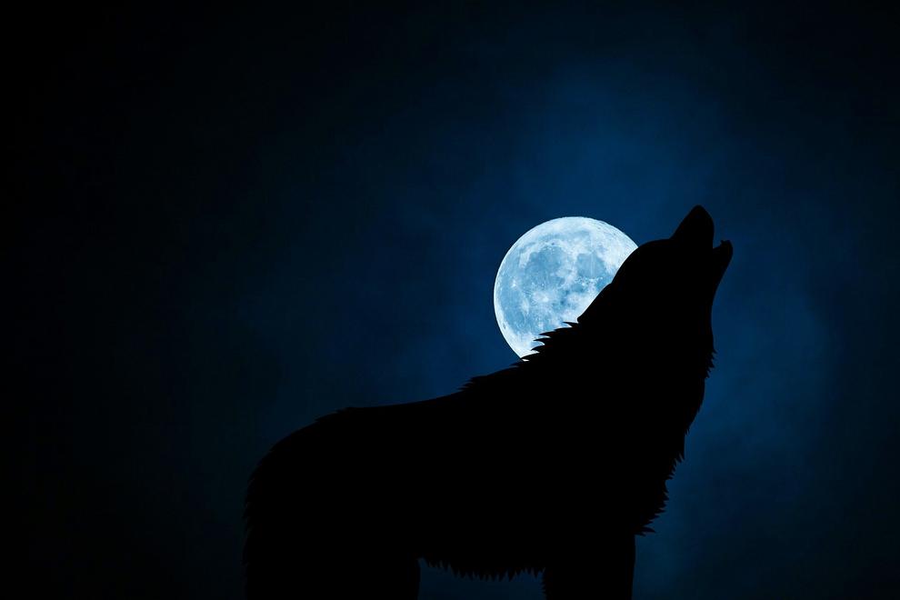 (Bild: mohamed_hassan/Pixabay) (Bild: mohamed_hassan/Pixabay)