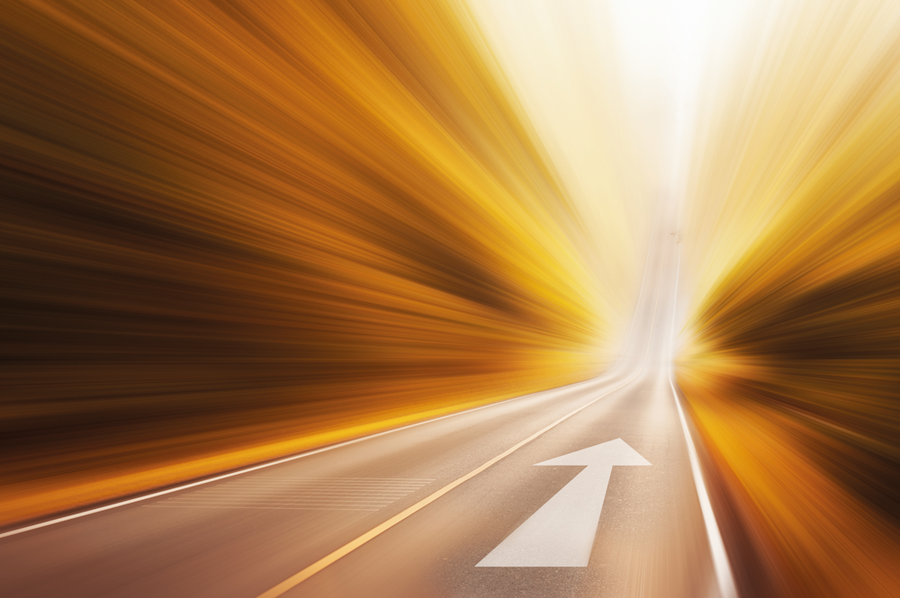  (Vasin Le, shutterstock)
