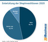 Preview von Entwicklung der Shopinvestitionen 2020