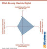 Preview von EMail-Lösung Cheetah Digital