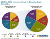 Preview von 2013 bis 2020 - ECommerce-Umsatz in Deutschland nach Shopgrößen