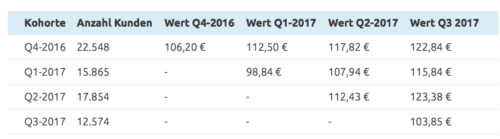 Kohorten Analyse