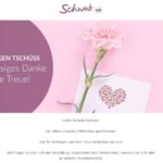 Schwab offline